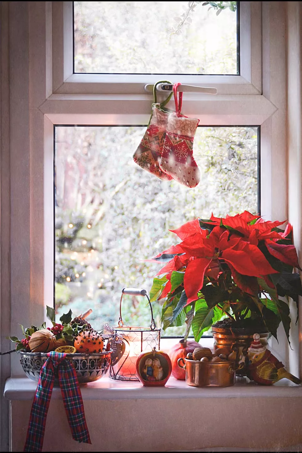 Add Color with Poinsettias